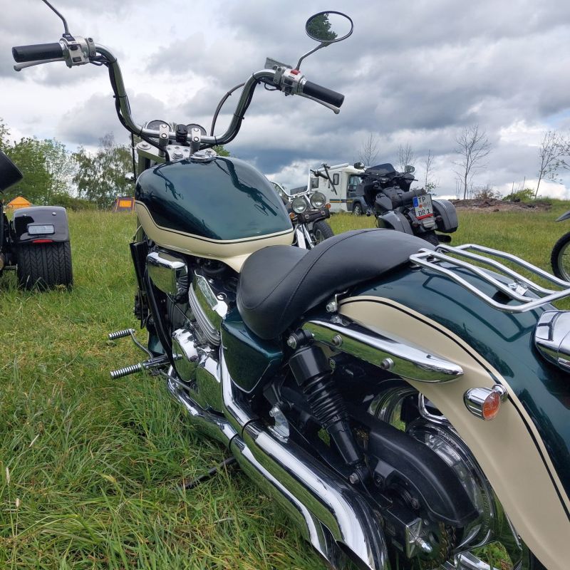 trebnitzstein_2024_041